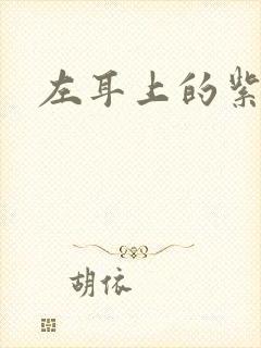 左耳上的紫水晶