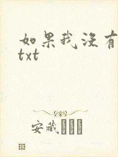 如果我没有爱过txt