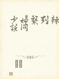 少妇系列辣文小说网