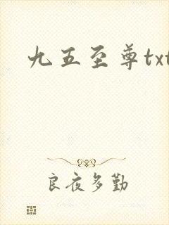 九五至尊txt