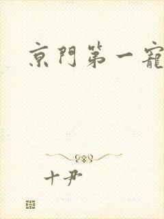 京门第一宠