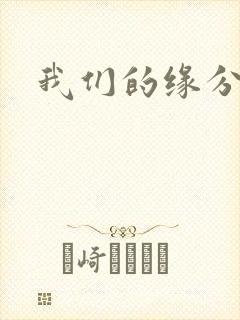 我们的缘分小说
