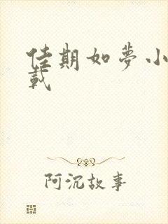 佳期如梦小说下载