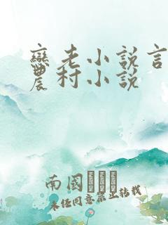 恋老小说言情网农村小说