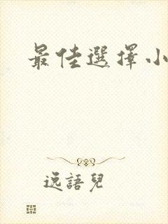 最佳选择小说