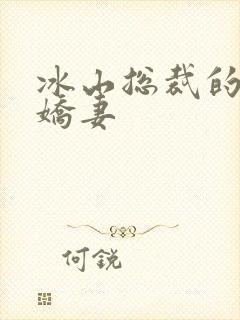 冰山总裁的掠爱娇妻