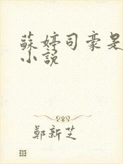 苏婷司豪是什么小说