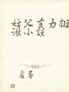 姑父有力挺送徐湫小说