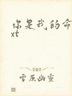 你是我的命运txt