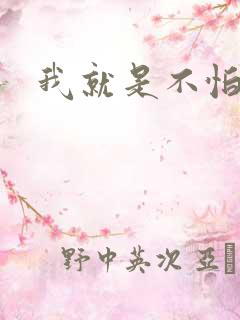 我就是不怕小说