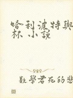 哈利波特与火焰杯 小说