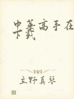 中华高手在异世下载