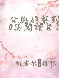 公与媳系列100集阅读目录小说