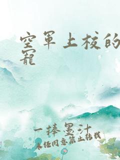 空军上校的邪魅宠