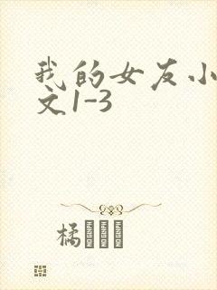 我的女友小洁全文1-3