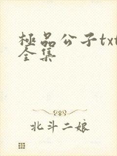 极品公子txt全集