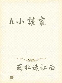 h小说家