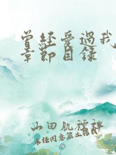 曾经爱过我刘念章节目录