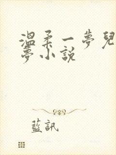 温柔一梦儿媳林梦小说