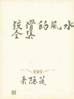 狡猾的风水相师全集