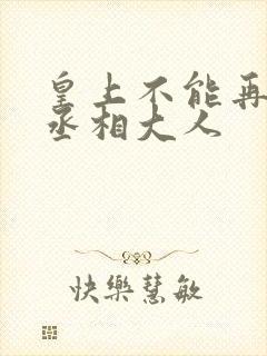 皇上不能再进了丞相大人