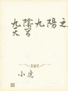 九阴九阳之武战天穹