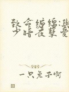 致命缠绵:与冷少暗夜孽爱