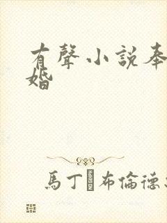 有声小说奉子成婚