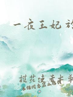 一夜王妃 于墨
