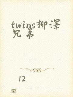 twins柳泽兄弟