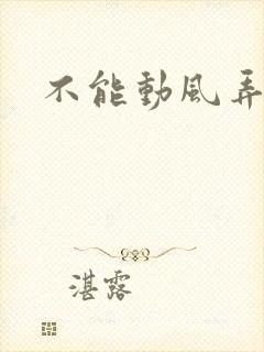 不能动风弄
