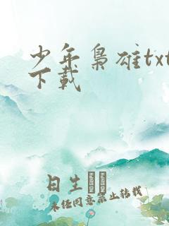 少年枭雄txt下载