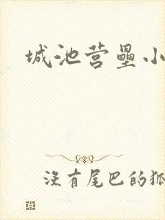 城池营垒小说