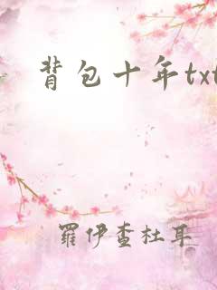 背包十年txt