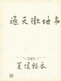 通天彻地韦小宝