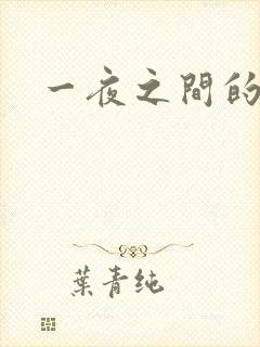 一夜之间的天才