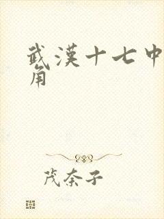 武汉十七中女主角