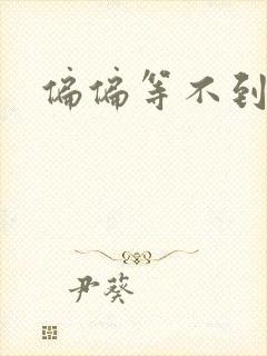 偏偏等不到小说