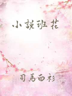 小说班花