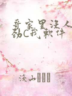 哥家里没人使点劲C我软件