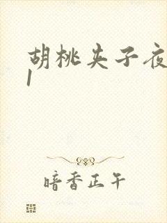 胡桃夹子夜未眠1