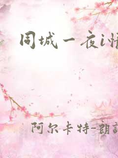 同城一夜i情
