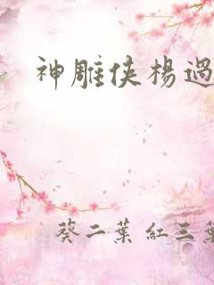 神雕侠杨过后传