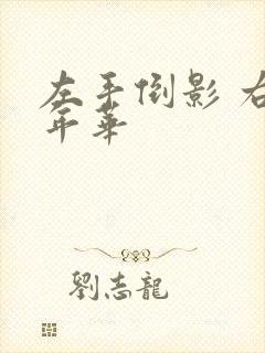 左手倒影 右手年华