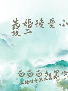 先婚后爱小说梦筱二