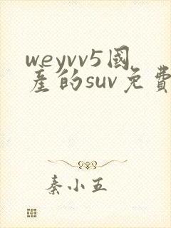 weyvv5国产的suv免费