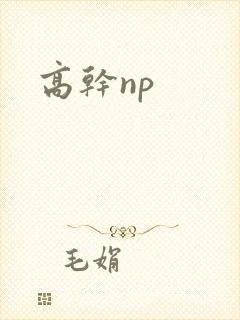 高干np