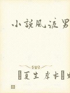 小说风流男护理