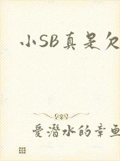 小SB真是欠C