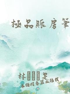 极品账房笔趣阁